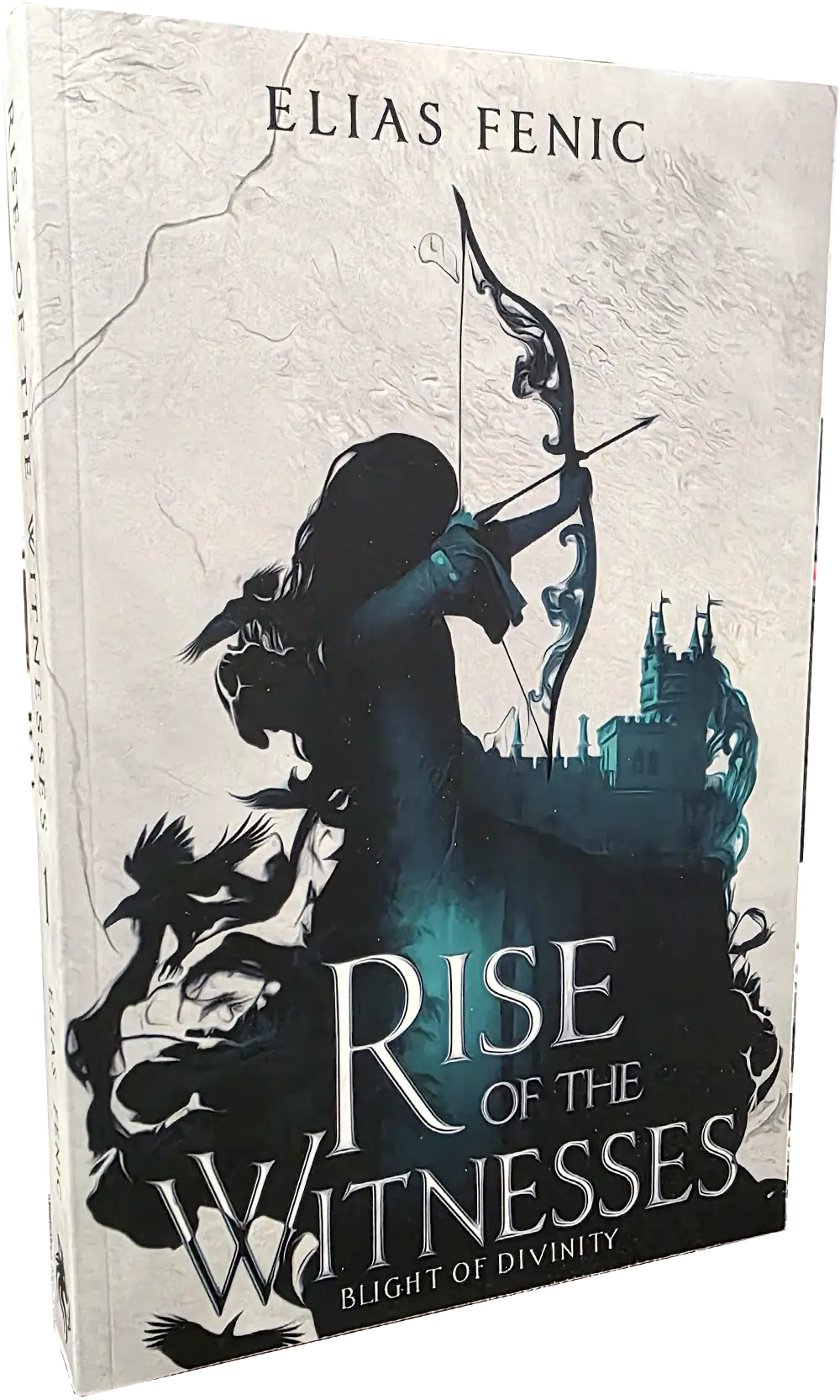 Rise of The Witnesses Cover - Epic Fantasy with Found Family and Morally Grey FMC